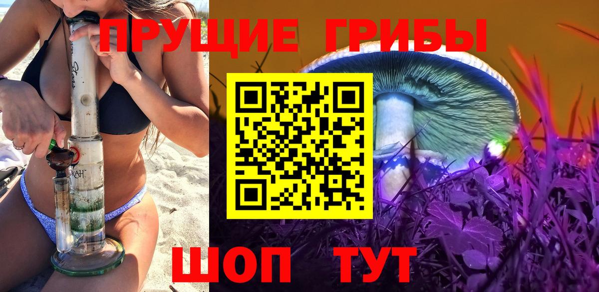 Псилоцибиновые грибы Psilocybe Альметьевск